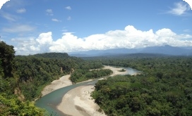 Spanish Course in Puerto Lopez