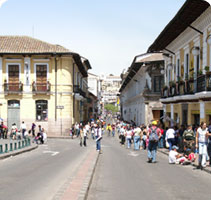 Banana Spanish School in Quito